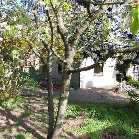 Villa Ferienhaus Santo Nordhausen Exterior foto