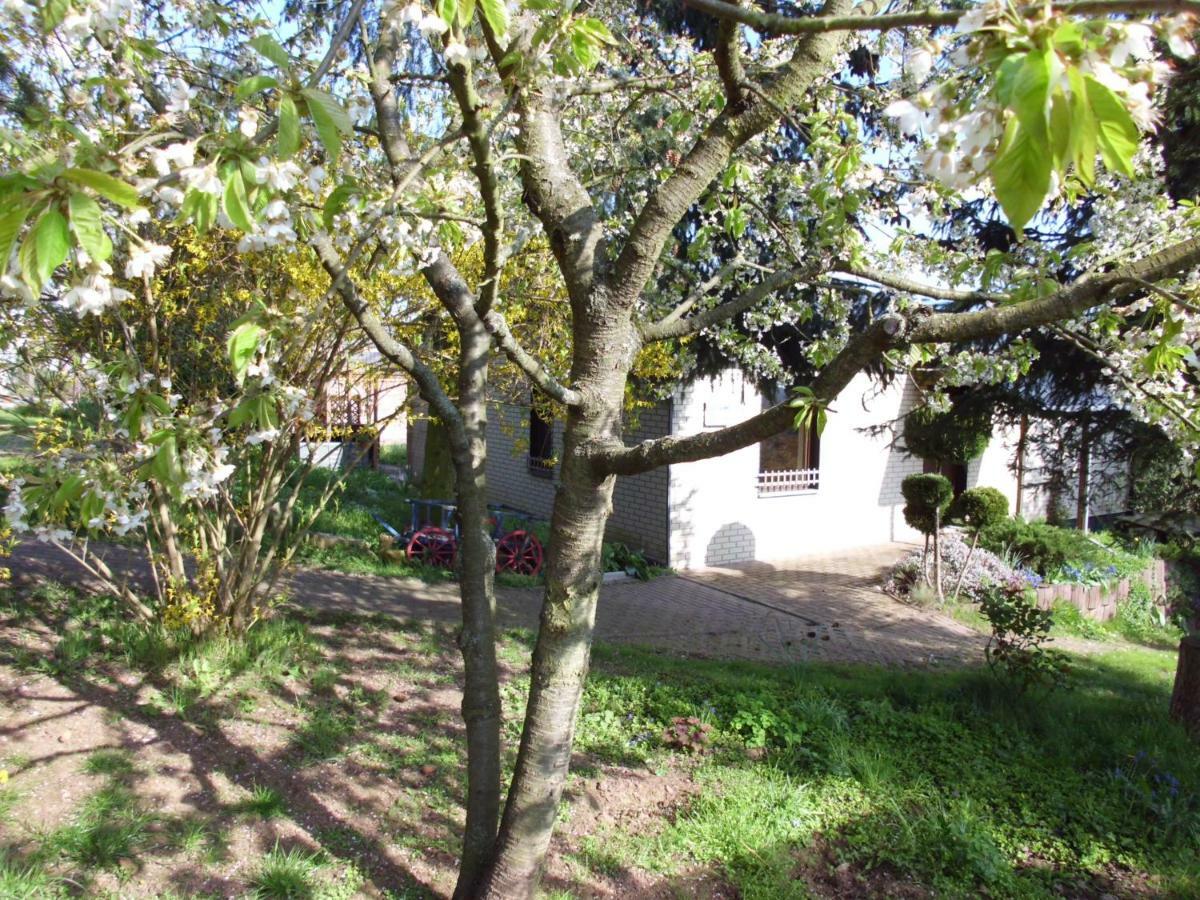 Villa Ferienhaus Santo Nordhausen Exterior foto